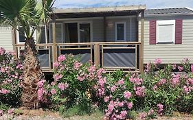 Mobil Home Palmiers 1